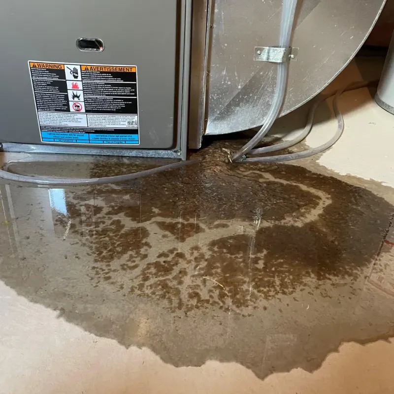 Appliance Leak Cleanup in Gordo, AL